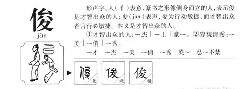 俊字五行|俊的意思，俊字的意思